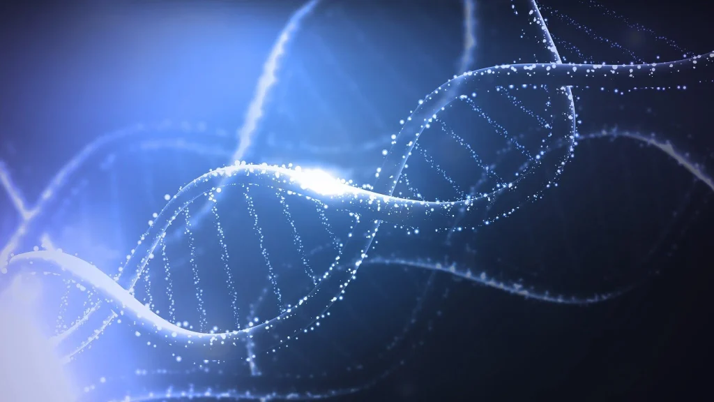 Urolithin A: Ein umfassender Leitfaden zu gesundheitlichen Vorteilen und Anwendungen