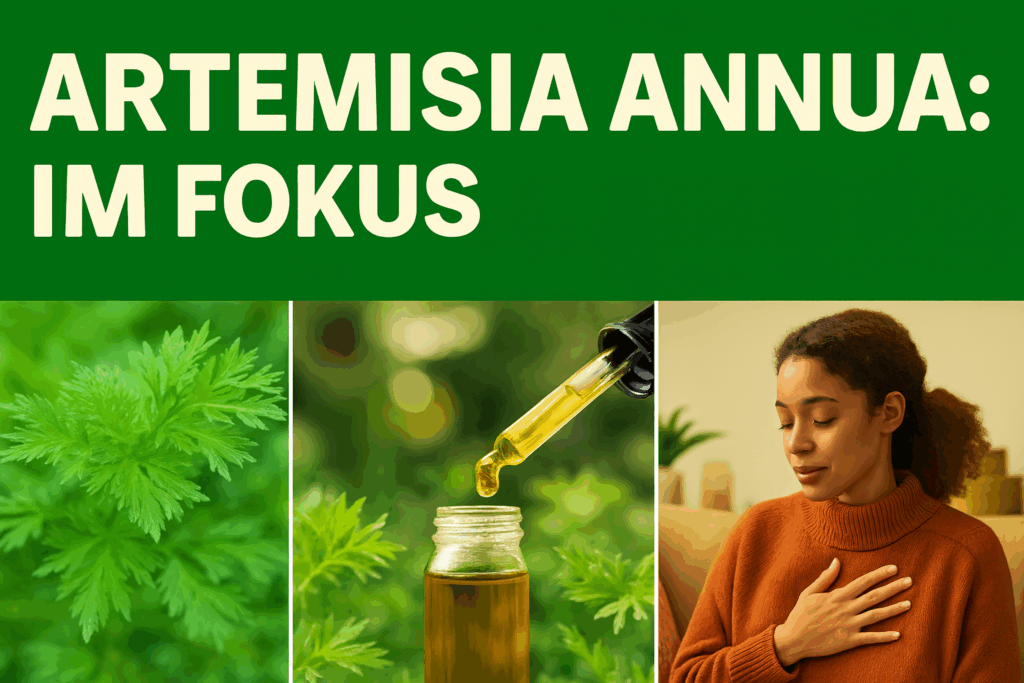Artemisia annua & DMSO: Wirkmechanismen, Risiken und Perspektiven