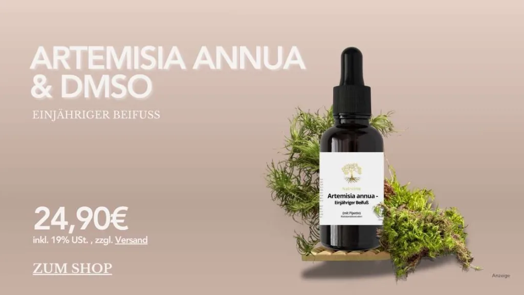 Artemisia Anna und DMSO